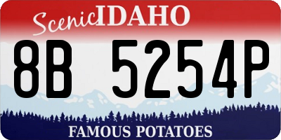 ID license plate 8B5254P