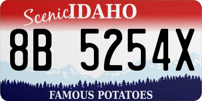 ID license plate 8B5254X