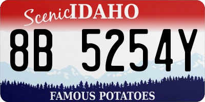 ID license plate 8B5254Y