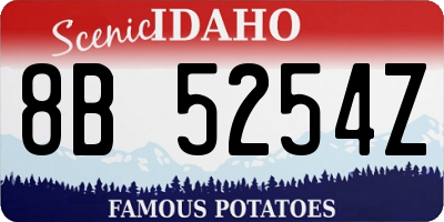 ID license plate 8B5254Z