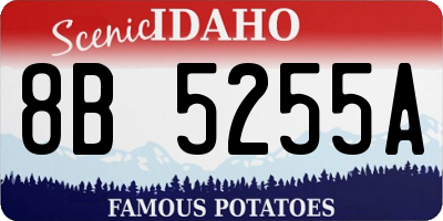 ID license plate 8B5255A