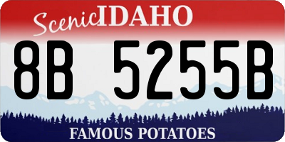 ID license plate 8B5255B