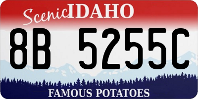 ID license plate 8B5255C