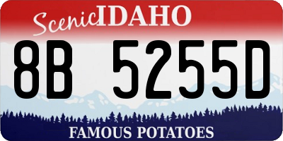 ID license plate 8B5255D