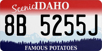 ID license plate 8B5255J