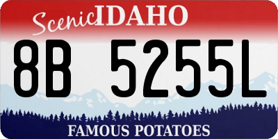 ID license plate 8B5255L