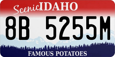 ID license plate 8B5255M