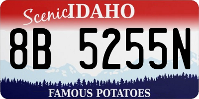ID license plate 8B5255N