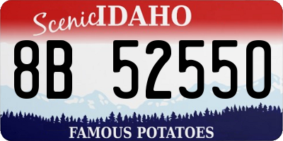 ID license plate 8B5255O