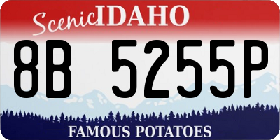 ID license plate 8B5255P