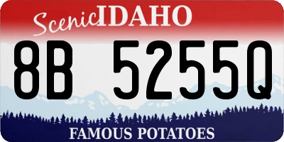 ID license plate 8B5255Q