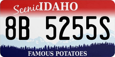 ID license plate 8B5255S