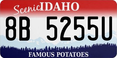 ID license plate 8B5255U