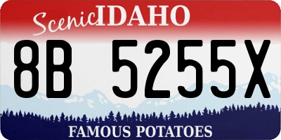 ID license plate 8B5255X