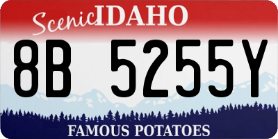 ID license plate 8B5255Y