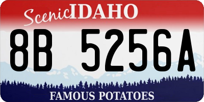 ID license plate 8B5256A