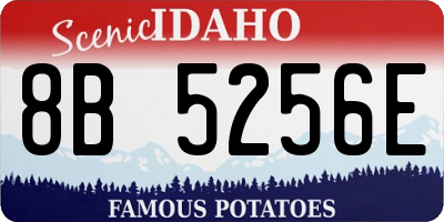 ID license plate 8B5256E
