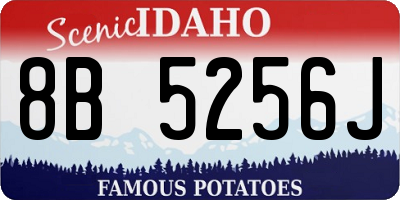 ID license plate 8B5256J