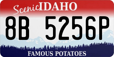 ID license plate 8B5256P