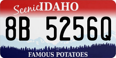 ID license plate 8B5256Q