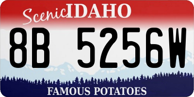 ID license plate 8B5256W