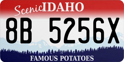 ID license plate 8B5256X