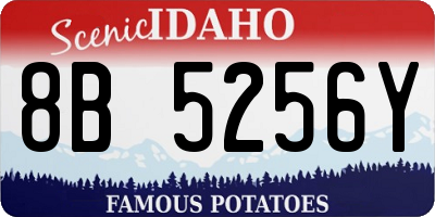 ID license plate 8B5256Y