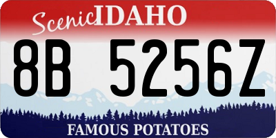 ID license plate 8B5256Z