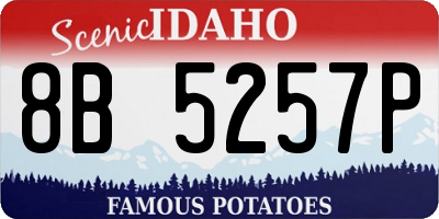 ID license plate 8B5257P