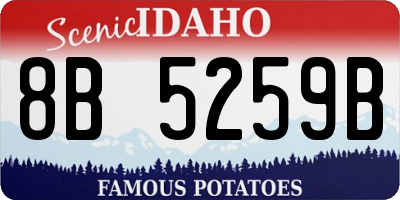 ID license plate 8B5259B