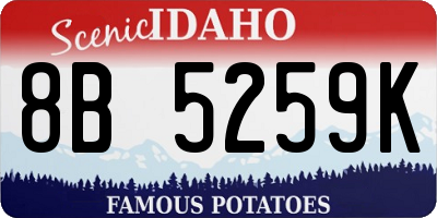 ID license plate 8B5259K