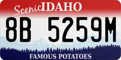 ID license plate 8B5259M