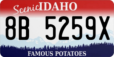 ID license plate 8B5259X