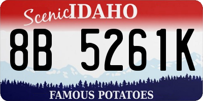 ID license plate 8B5261K
