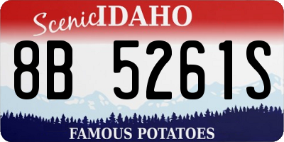 ID license plate 8B5261S