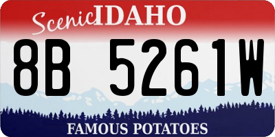 ID license plate 8B5261W