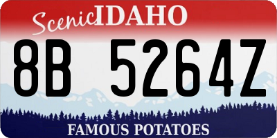ID license plate 8B5264Z
