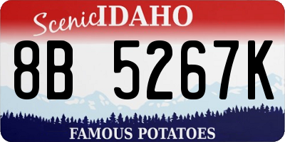 ID license plate 8B5267K