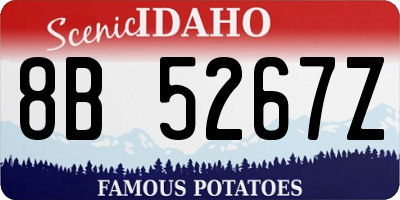 ID license plate 8B5267Z
