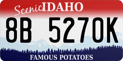 ID license plate 8B5270K