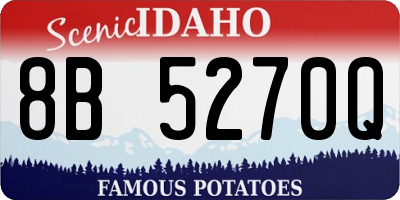 ID license plate 8B5270Q