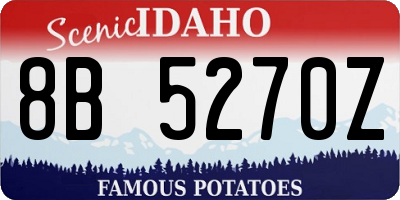 ID license plate 8B5270Z