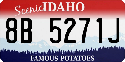 ID license plate 8B5271J