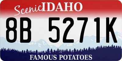 ID license plate 8B5271K