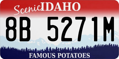 ID license plate 8B5271M