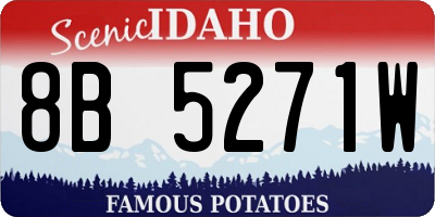 ID license plate 8B5271W