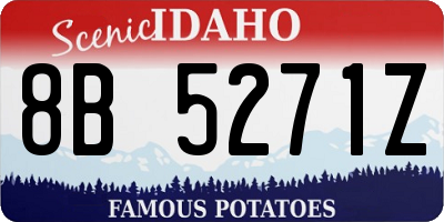 ID license plate 8B5271Z