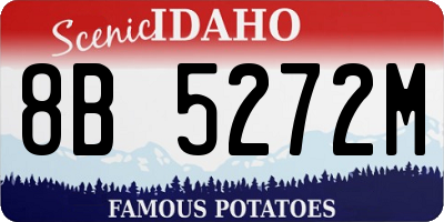 ID license plate 8B5272M