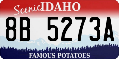 ID license plate 8B5273A