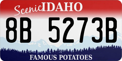 ID license plate 8B5273B
